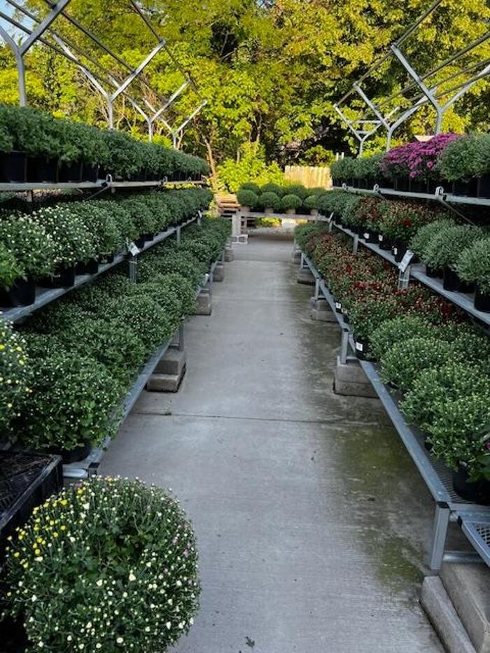 Images Begick Nursery