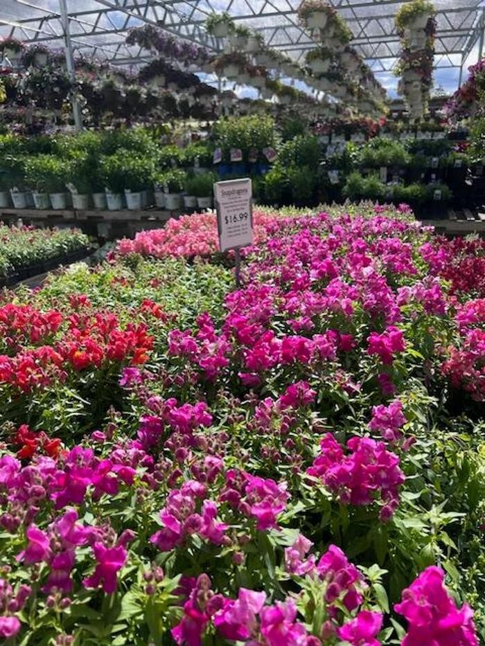 Images Begick Nursery