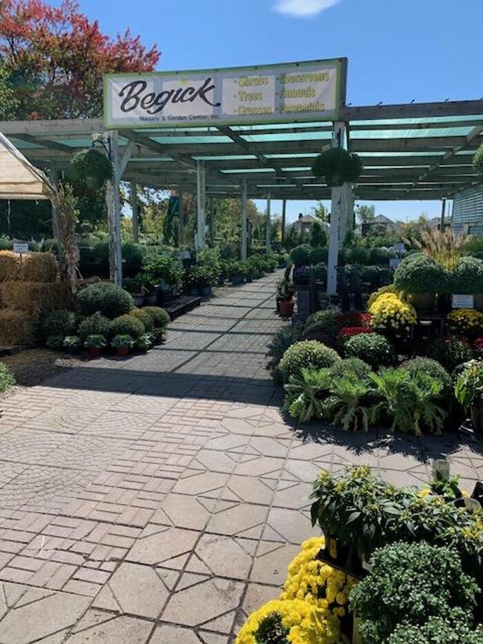 Images Begick Nursery