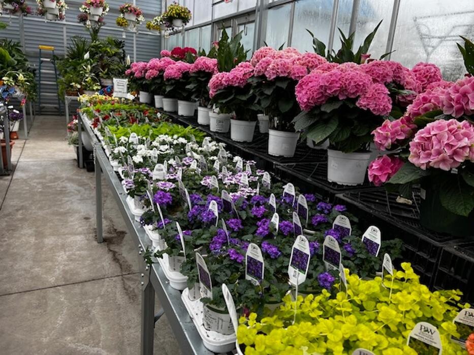 Images Begick Nursery