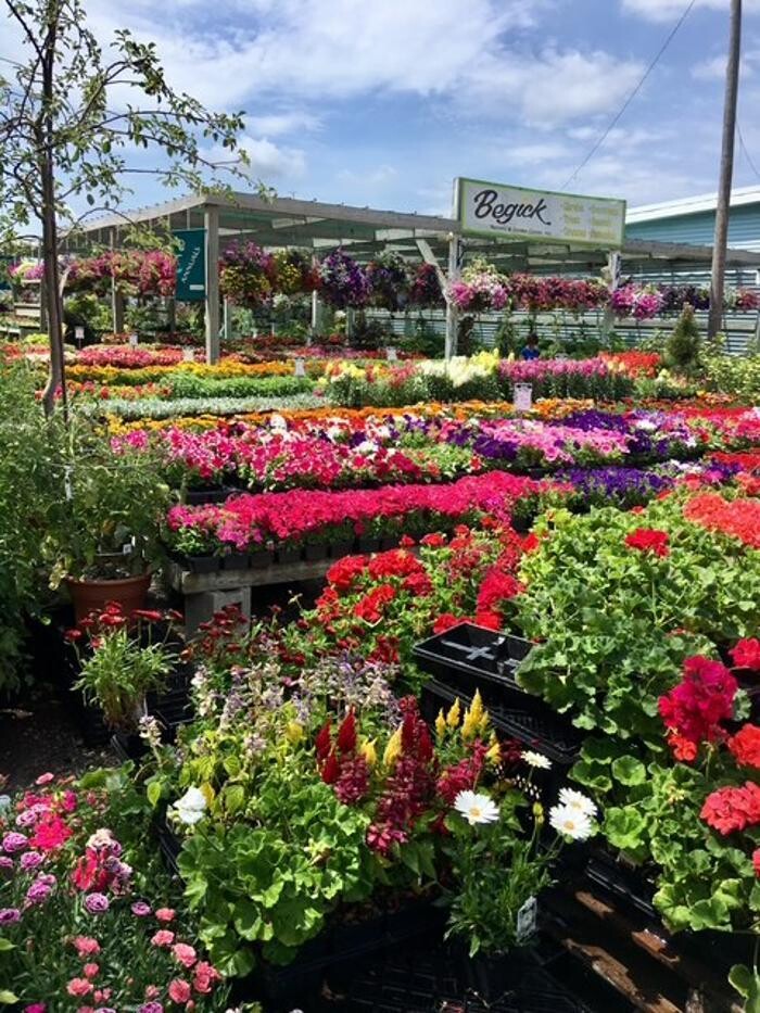 Images Begick Nursery