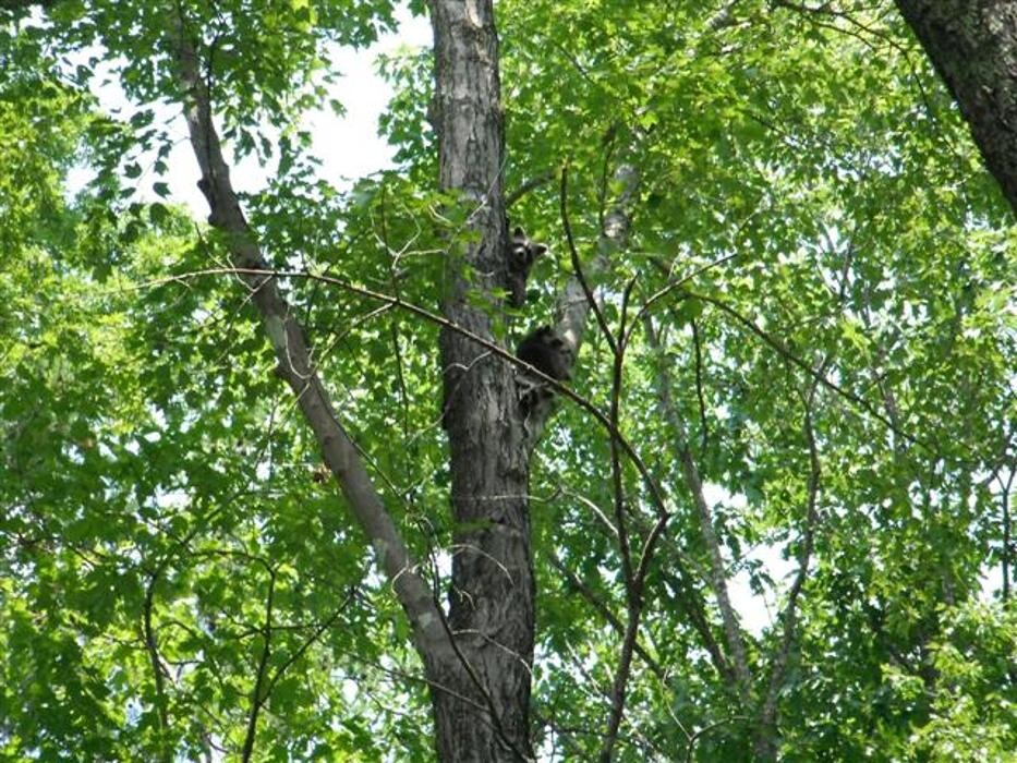 Images Coleman Farm Supply Inc.