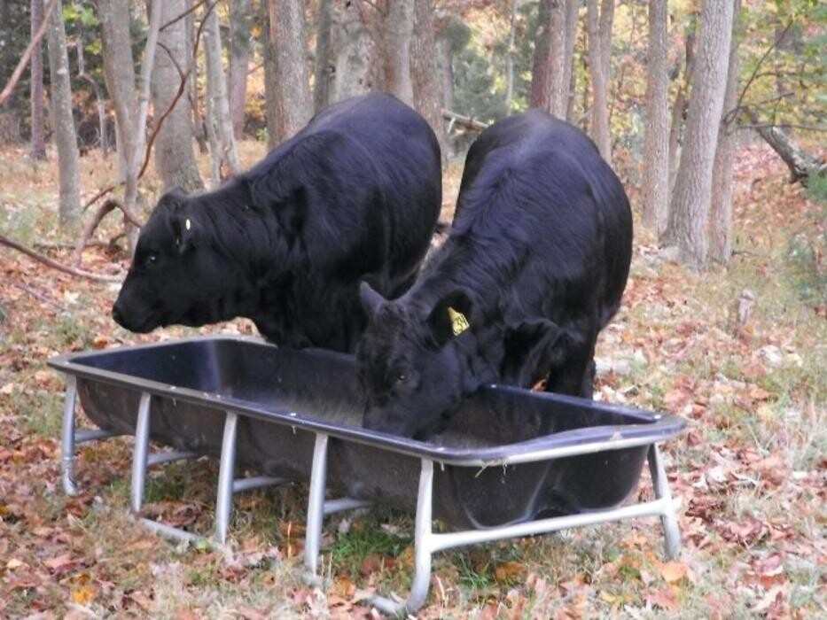 Images Coleman Farm Supply Inc.