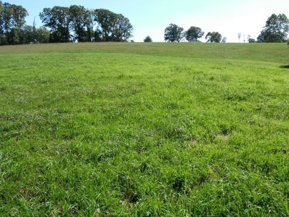 Images Coleman Farm Supply Inc.