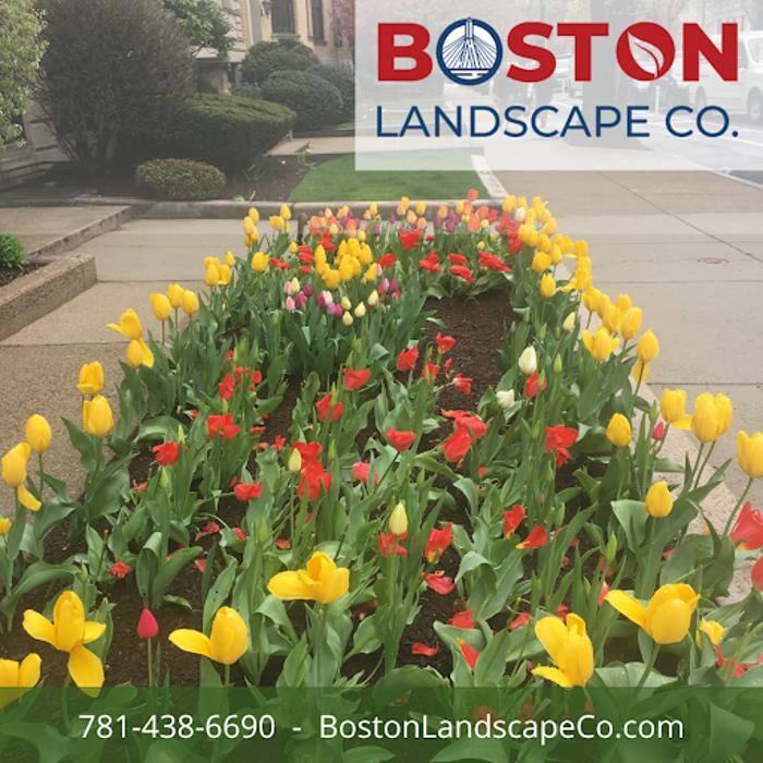 Images Boston Landscape Co.