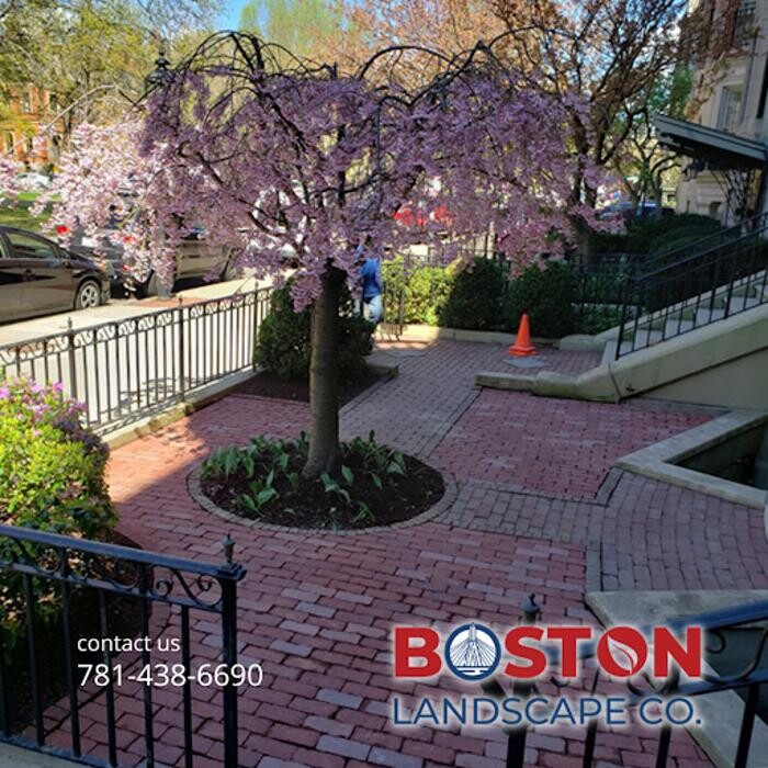 Images Boston Landscape Co.