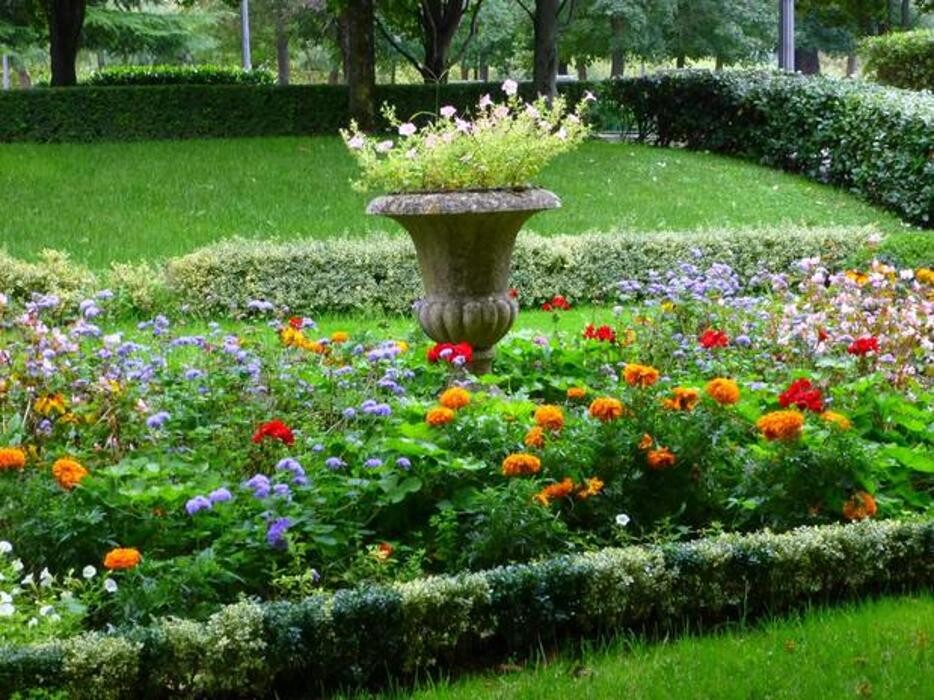 Images Busse & Rieck Flowers, Plants and Gifts