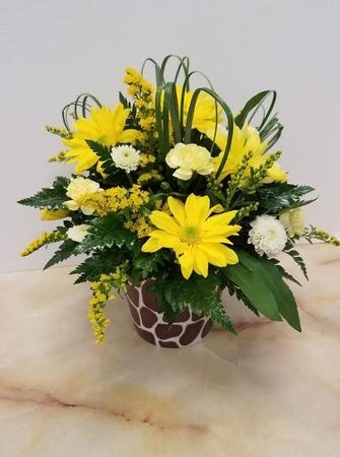 Images Busse & Rieck Flowers, Plants and Gifts