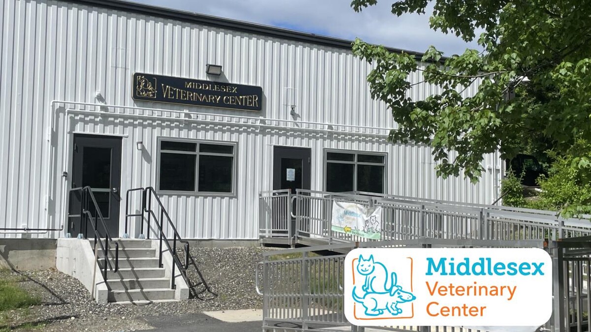 Images Middlesex Veterinary Center