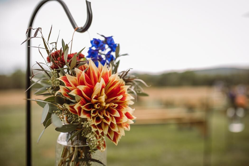 Images Paul Wood Florist