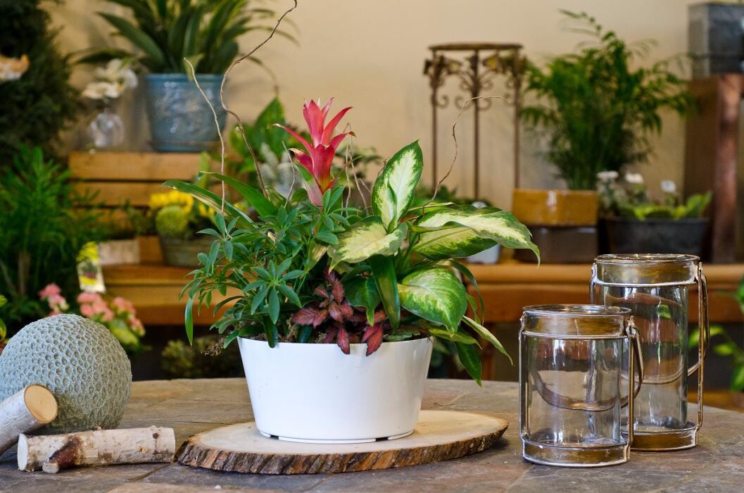 Images Paul Wood Florist