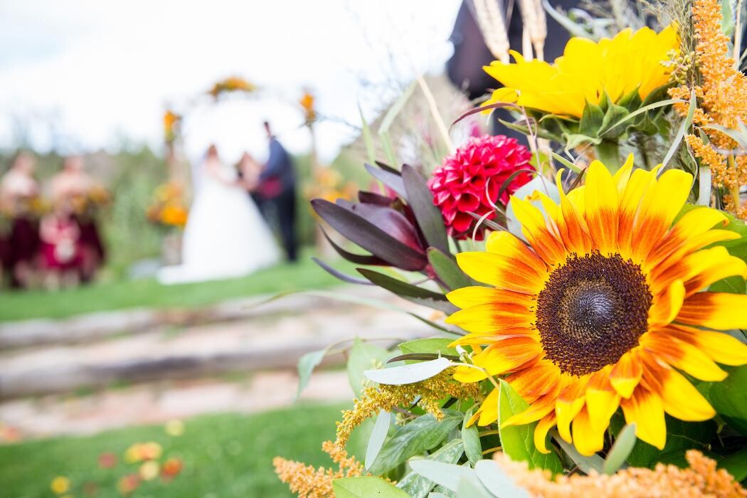 Images Paul Wood Florist