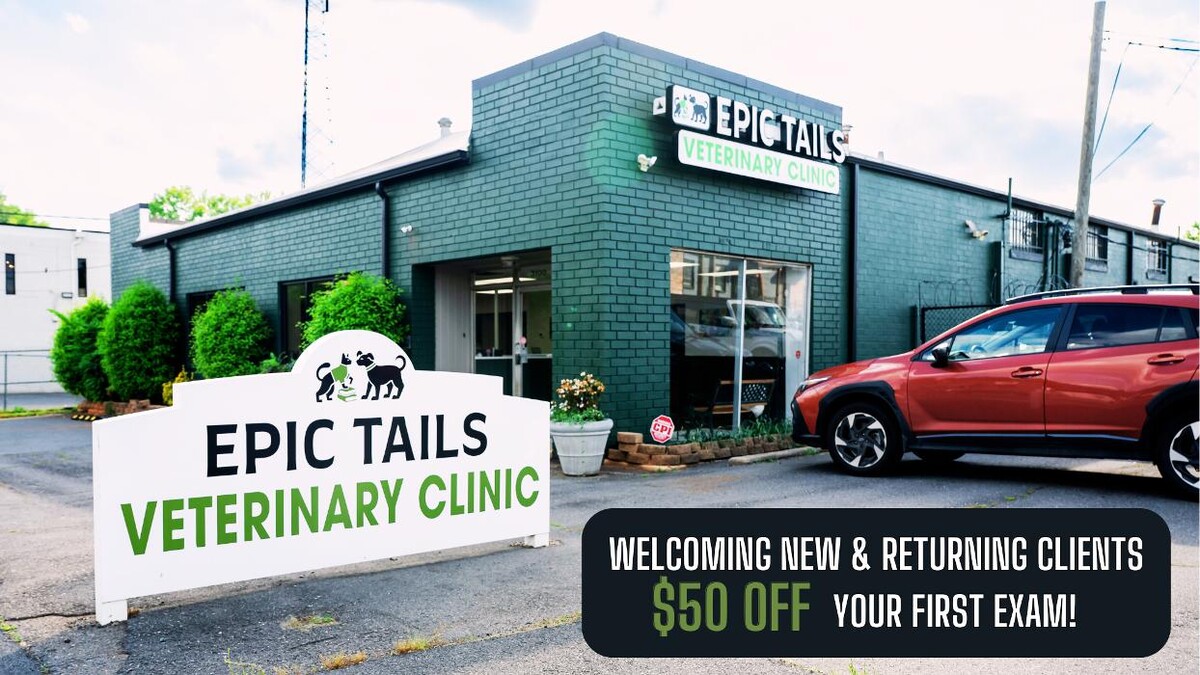 Images Epic Tails Veterinary Clinic