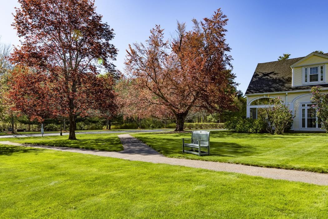 Images Pond Home