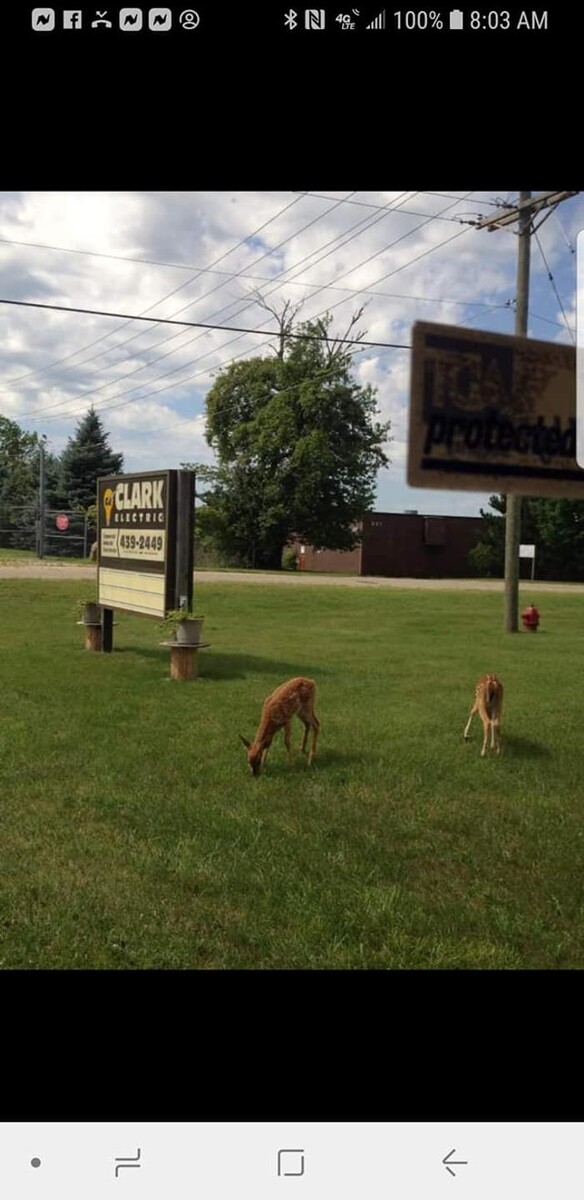 Images Clark Electric Inc.