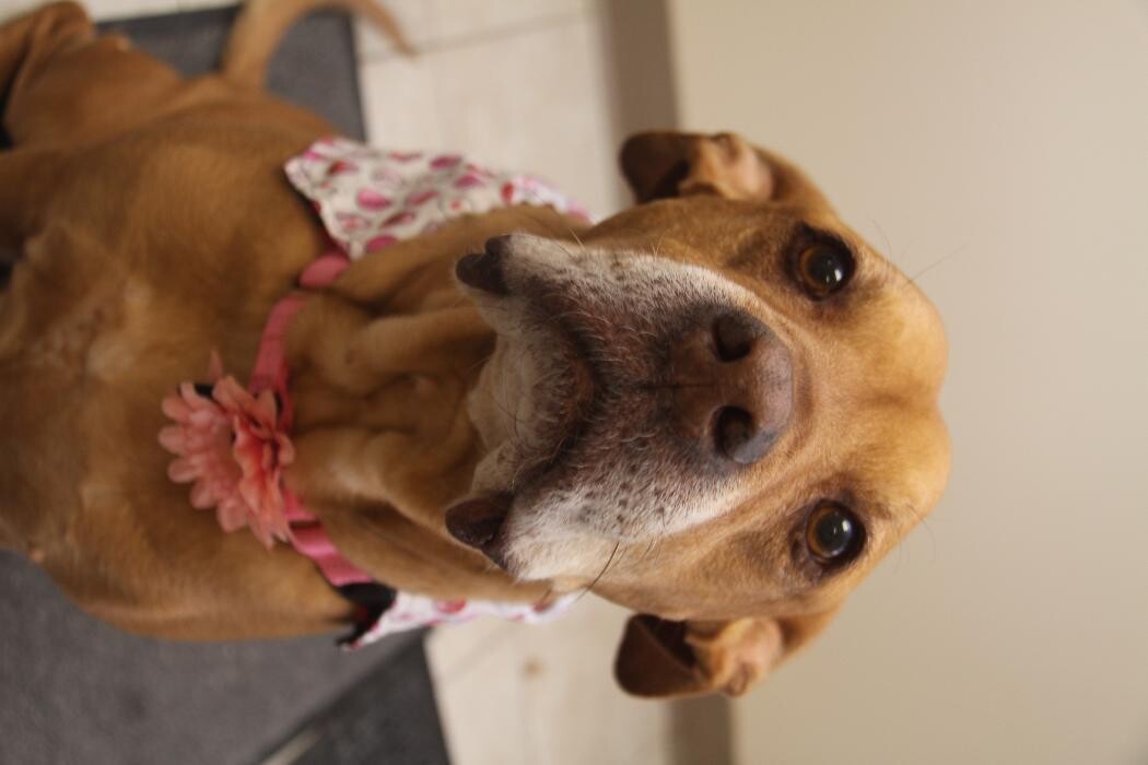 Images Center for Audiology Services