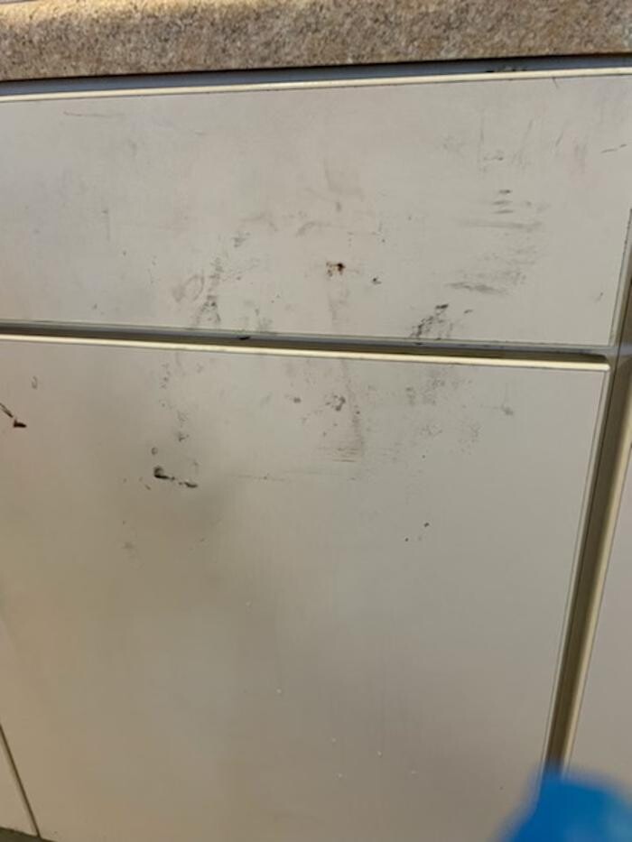 Images Double Duty Commercial Cleaning