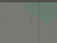 Website Screenshot Burger King