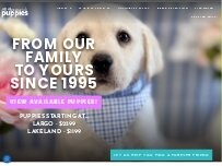Website Screenshot All About Puppies