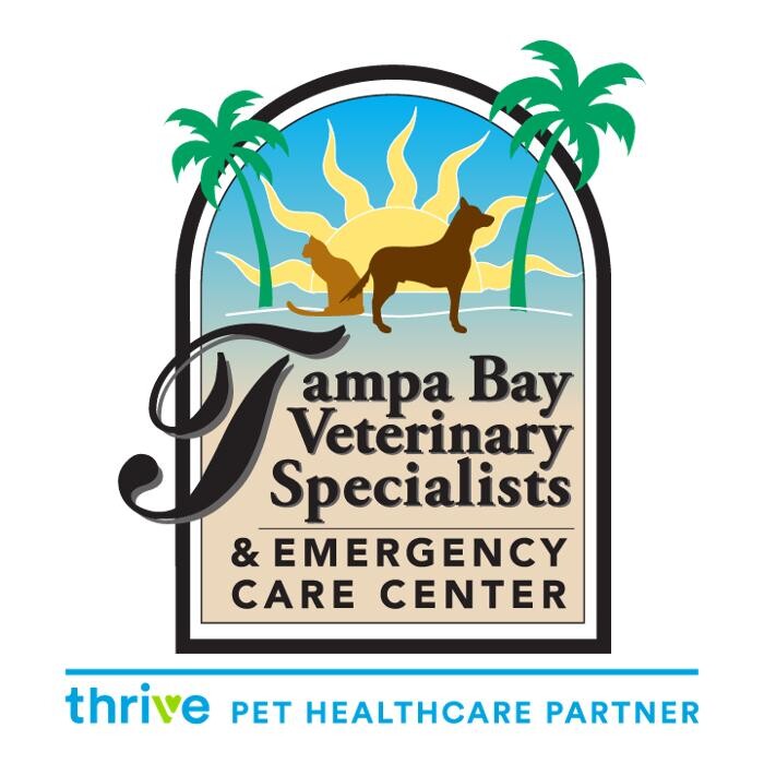 Tampa Bay Veterinary Specialists & Emergency Care Center Logo