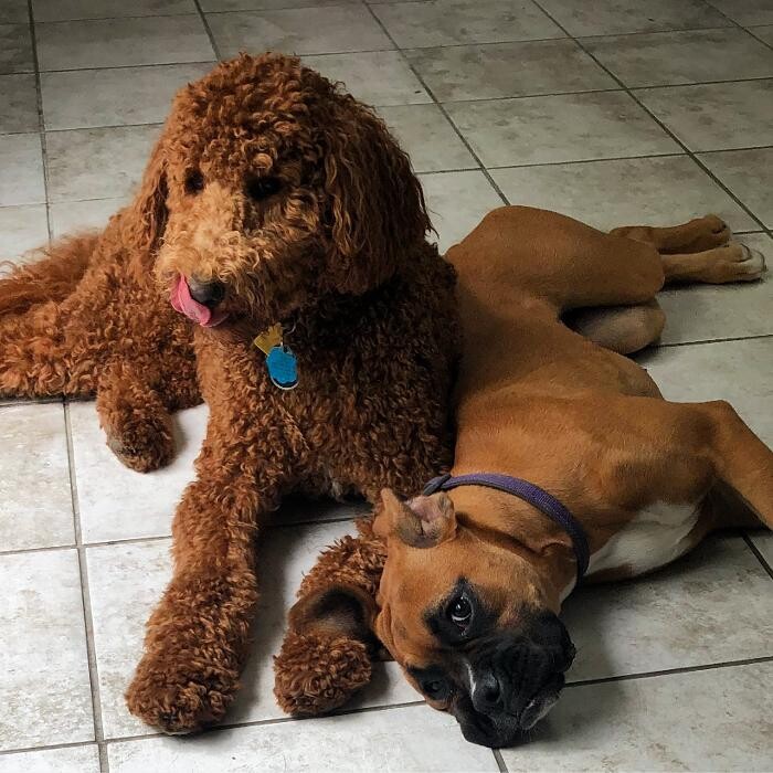 Images Allphin Veterinary Clinic