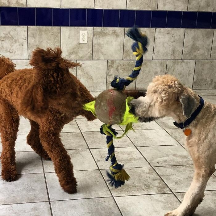 Images Allphin Veterinary Clinic