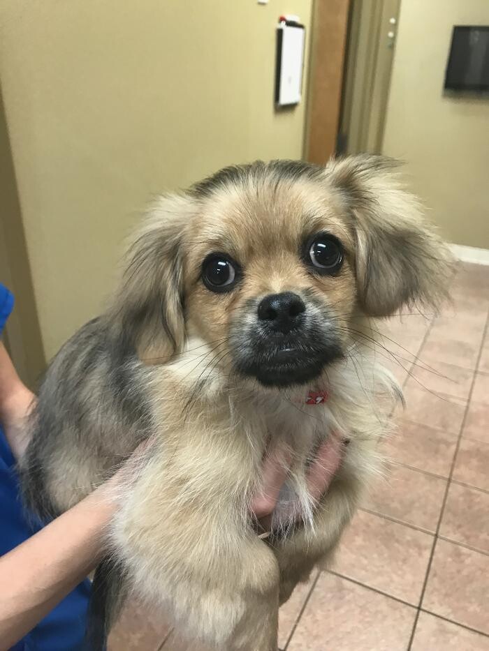 Images Allphin Veterinary Clinic