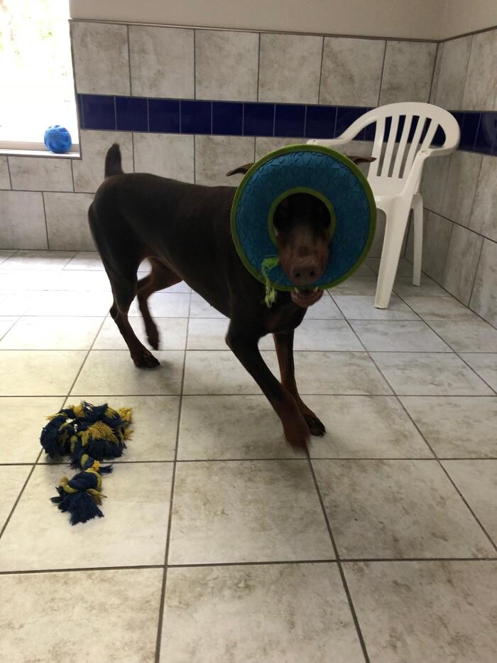 Images Allphin Veterinary Clinic