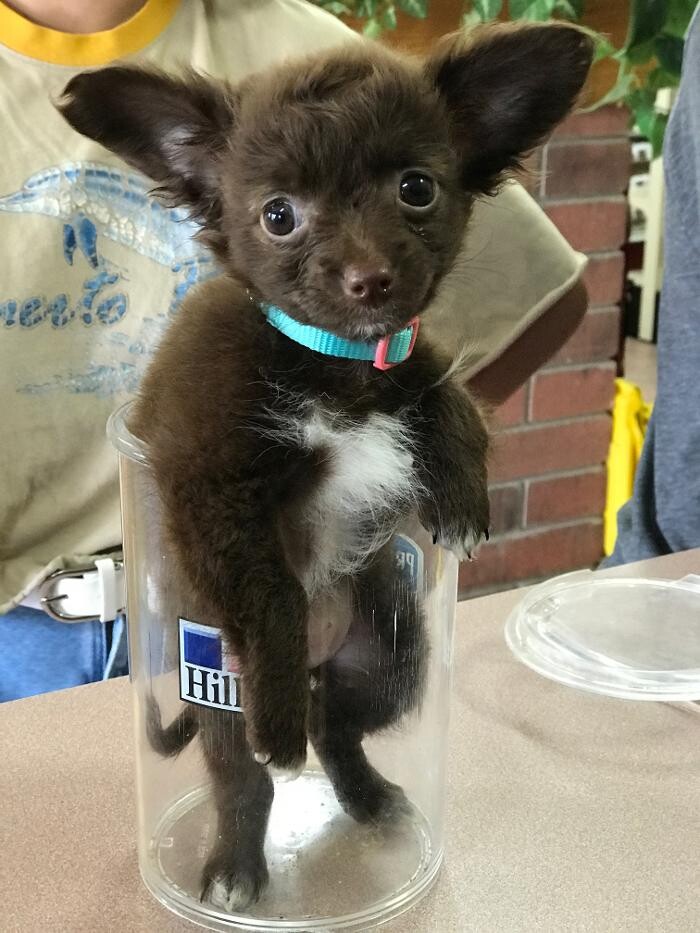 Images Allphin Veterinary Clinic