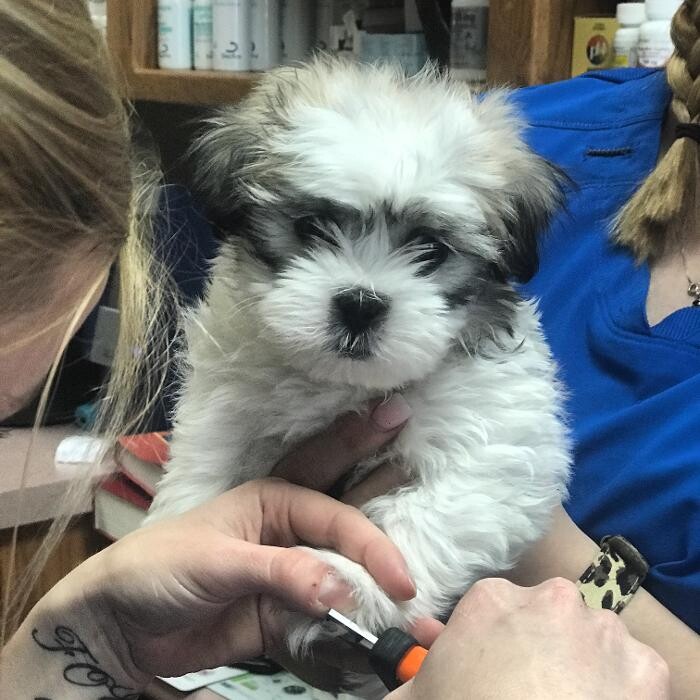 Images Allphin Veterinary Clinic