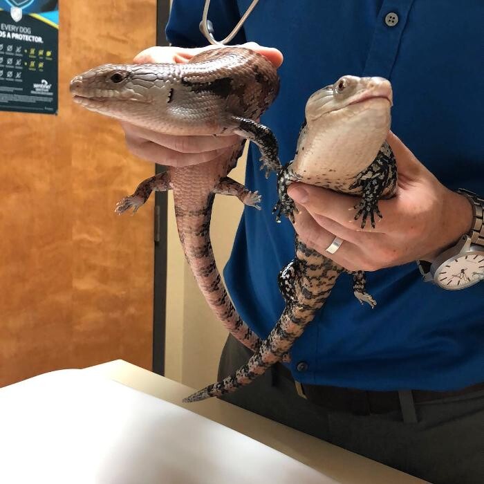 Images Allphin Veterinary Clinic