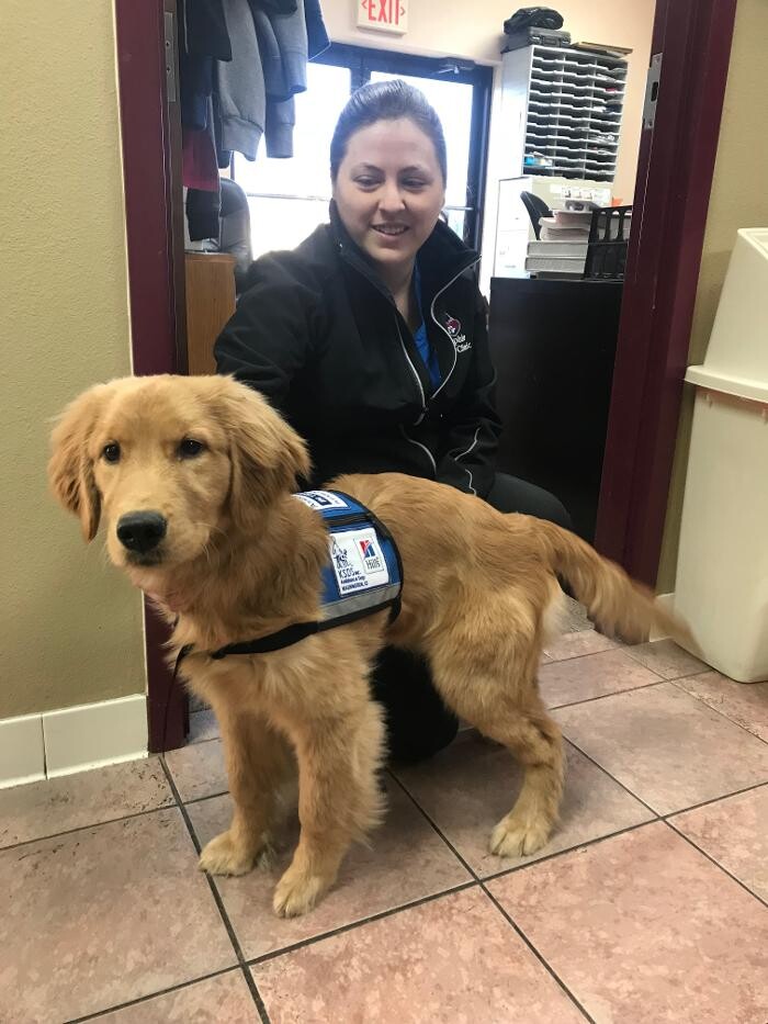 Images Allphin Veterinary Clinic