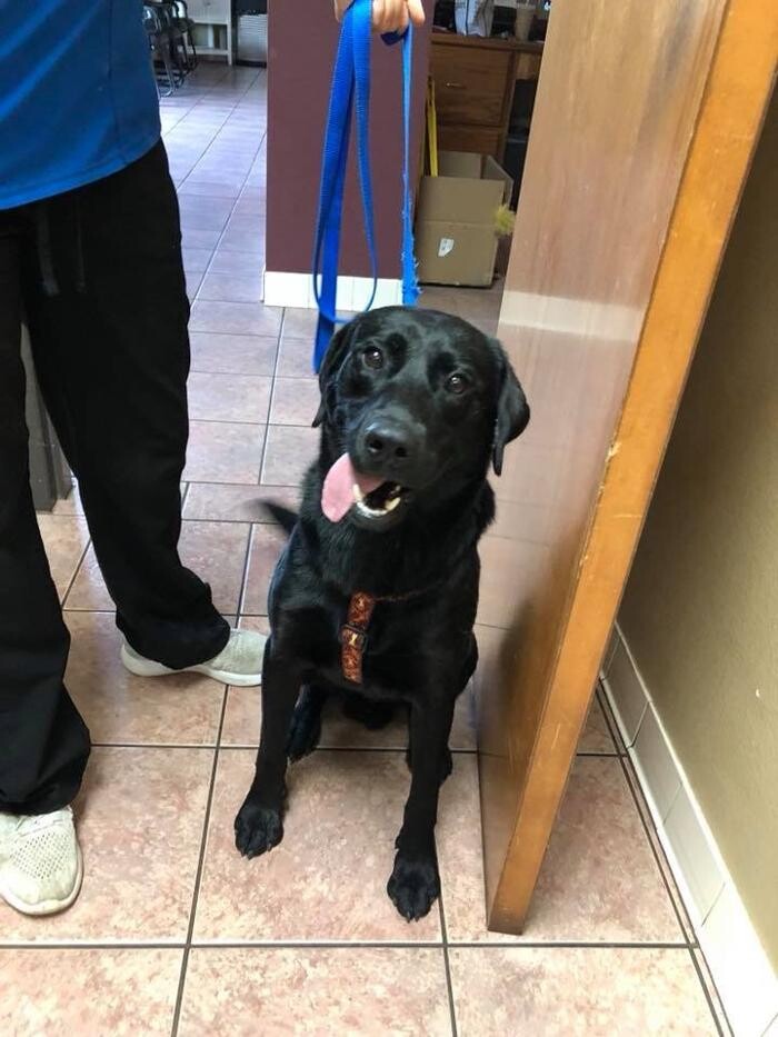 Images Allphin Veterinary Clinic