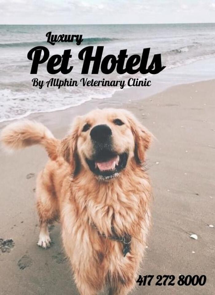 Images Allphin Veterinary Clinic