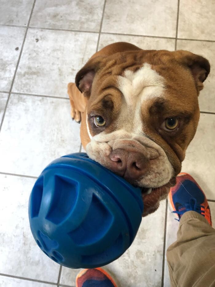 Images Allphin Veterinary Clinic