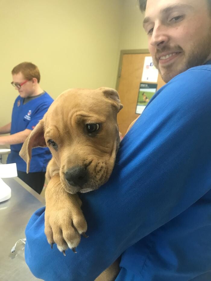 Images Allphin Veterinary Clinic