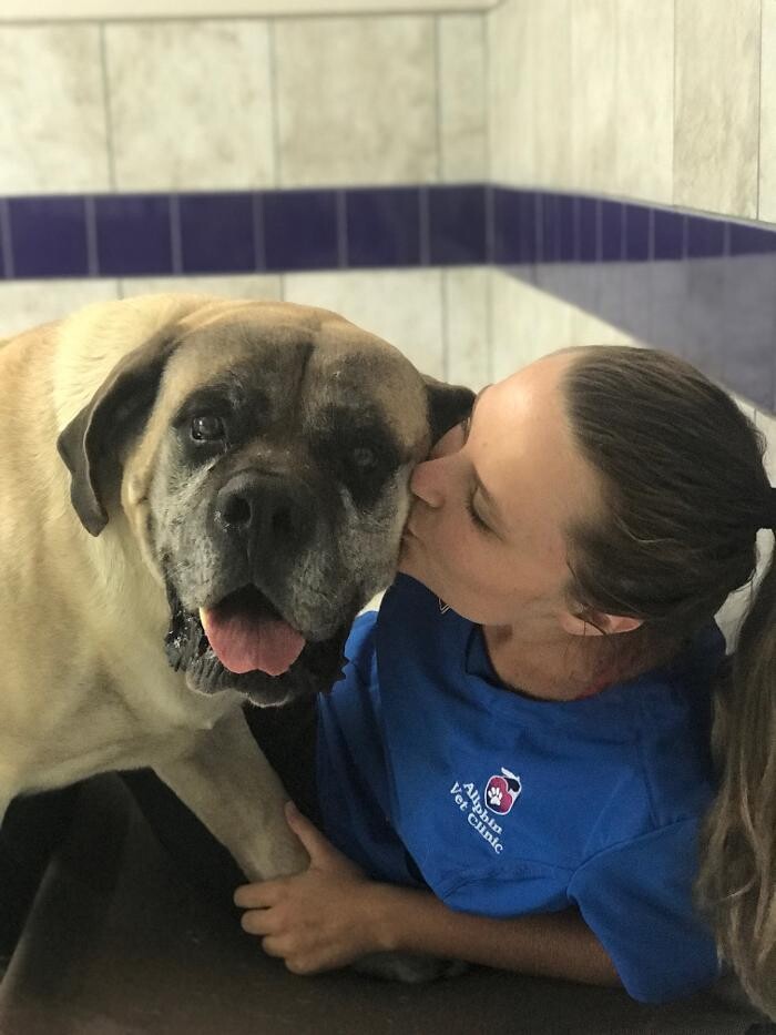 Images Allphin Veterinary Clinic