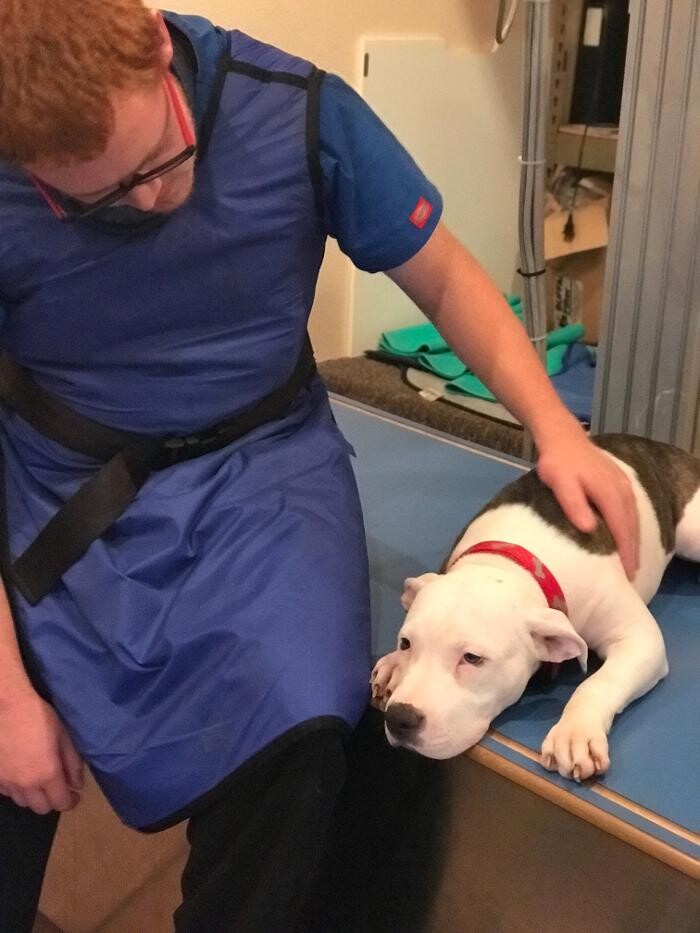 Images Allphin Veterinary Clinic