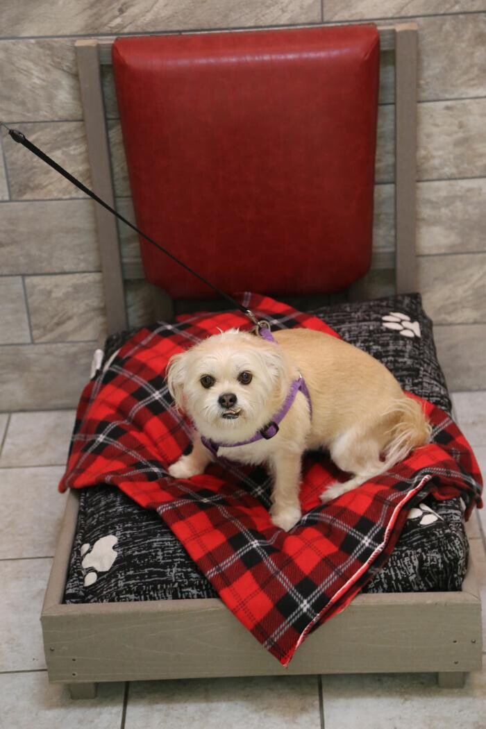 Images Allphin Veterinary Clinic