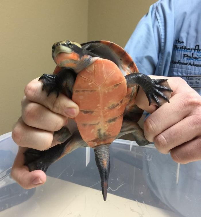 Images Allphin Veterinary Clinic