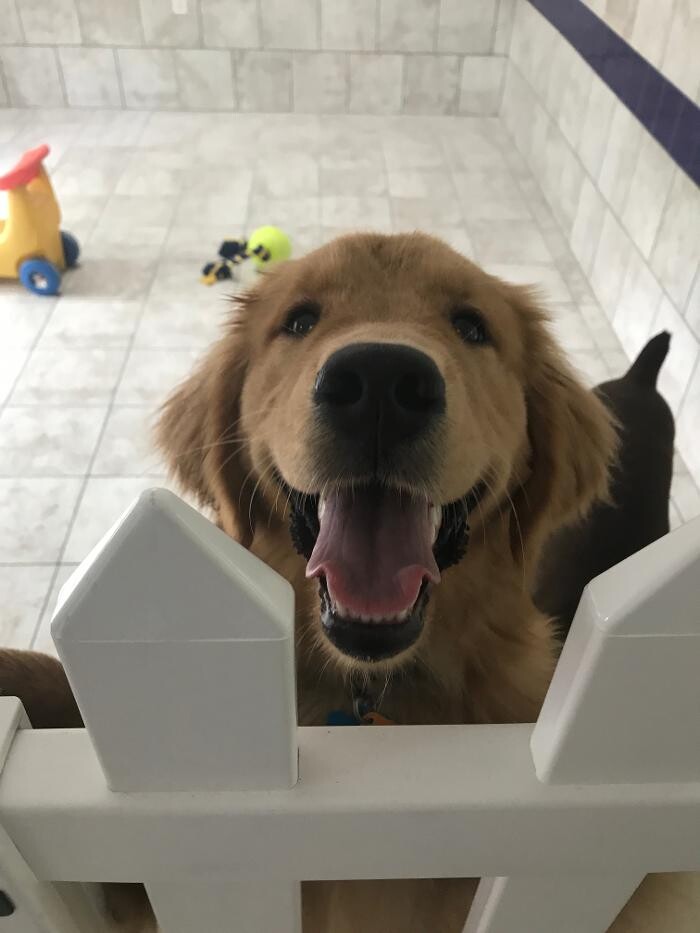 Images Allphin Veterinary Clinic