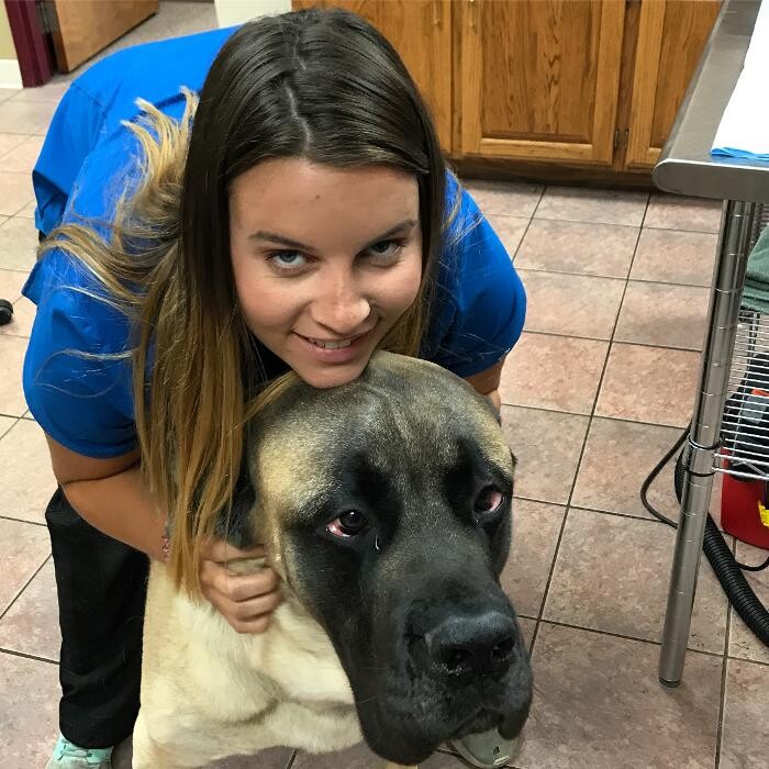 Images Allphin Veterinary Clinic