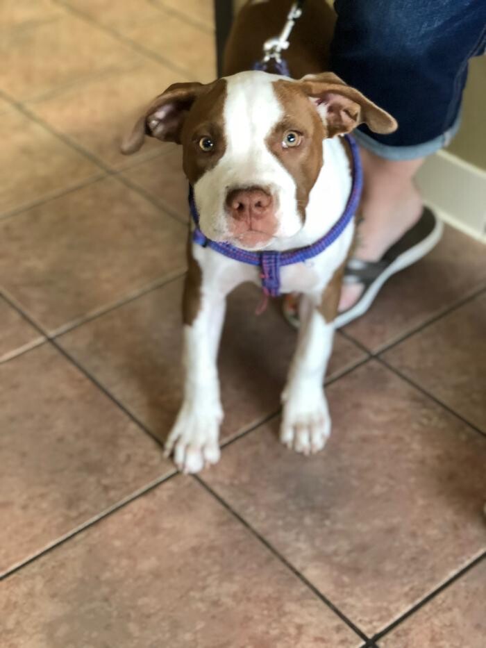 Images Allphin Veterinary Clinic