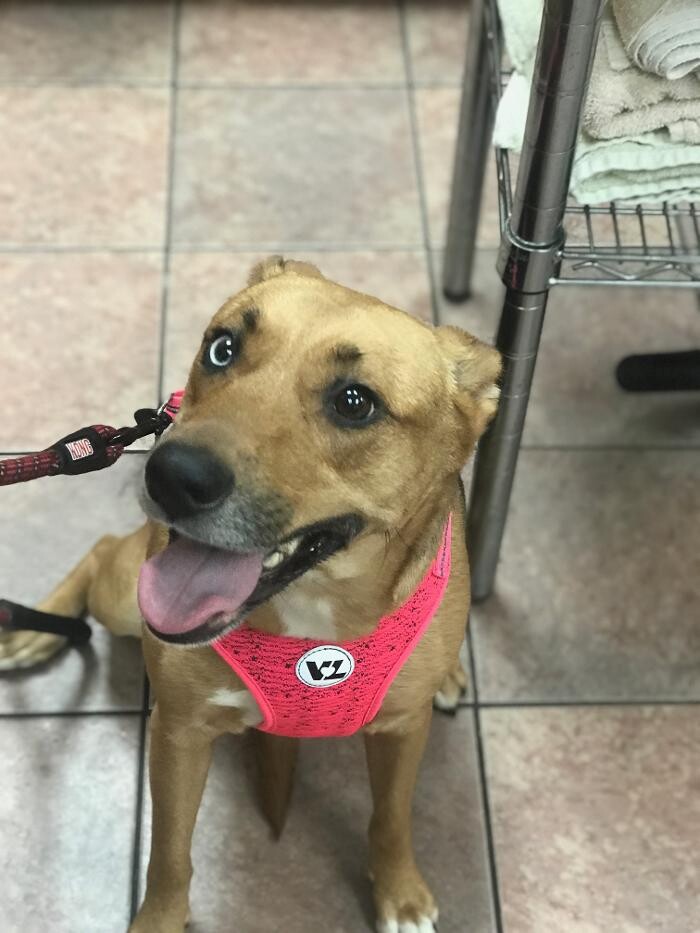 Images Allphin Veterinary Clinic