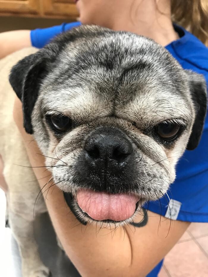 Images Allphin Veterinary Clinic