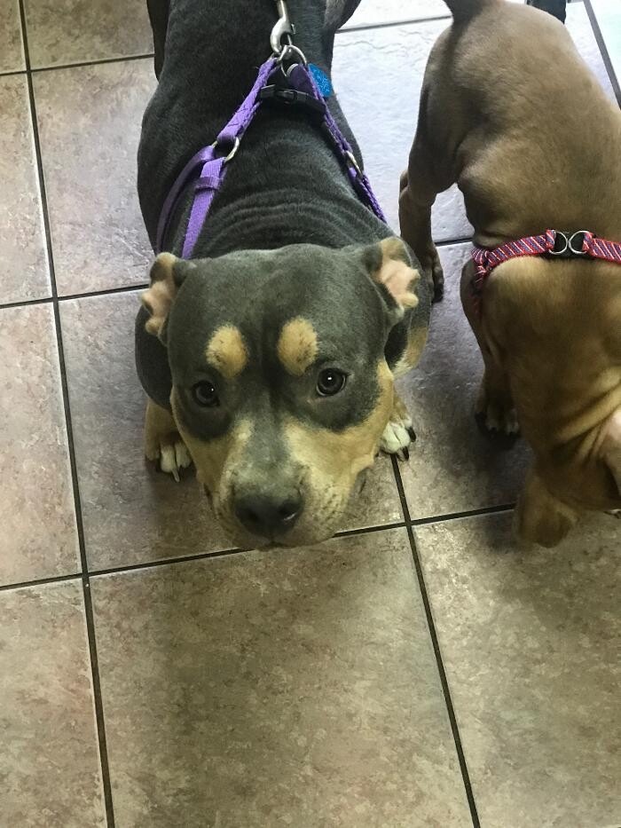 Images Allphin Veterinary Clinic