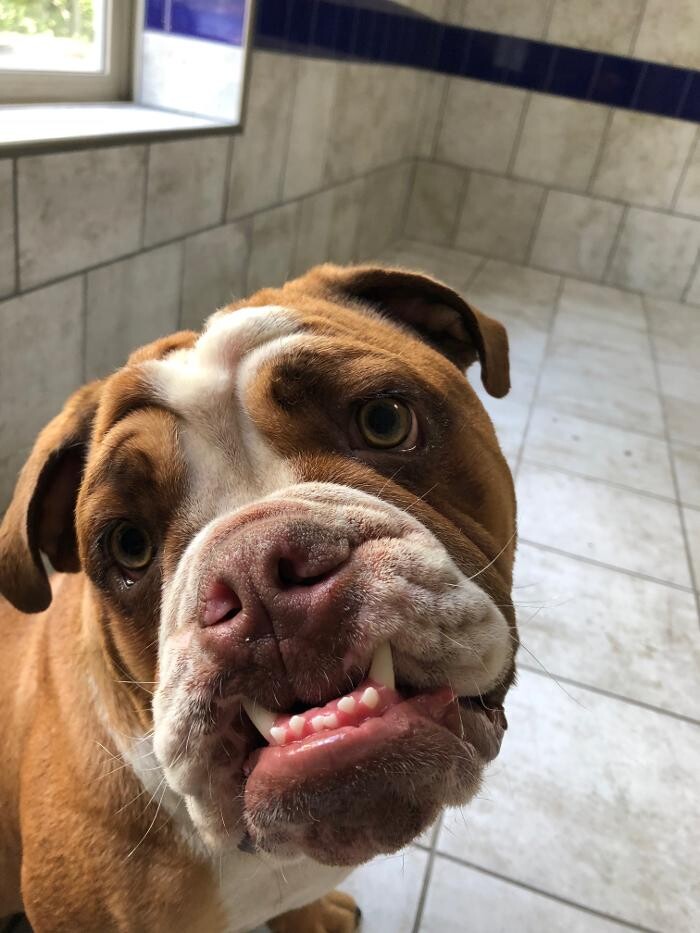 Images Allphin Veterinary Clinic