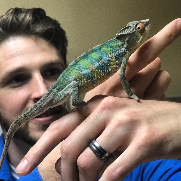 Images Allphin Veterinary Clinic