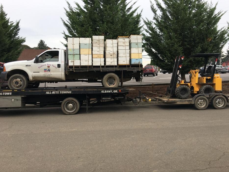 Images All-Rite Towing and Recovery