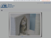 Screenshot for http://danadavet.com